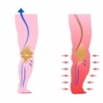 ecm-fisioterapia-corso-fad-25-crediti-patologie-degli-arti-inferiori