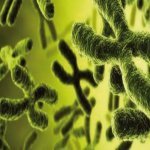 ecm-fisioterapia-corso-res-gratuito-53-crediti-distrofia-muscolare-di-duchenne