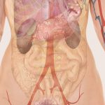 ecm-fisioterapia-corso-fad-gratuito