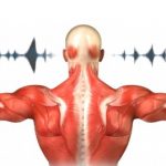 ecm-fisioterapia-corso-res-10-crediti-corpo-musica-ergonomia