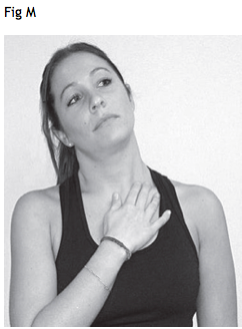 dolore al collo e stretching muscoli scaleno anteriore e sternocleidomastoideo