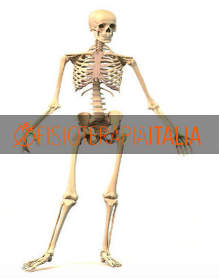 manipolazioni articolari
