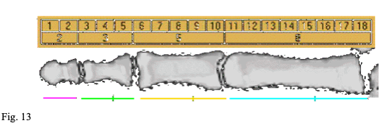 fig 13