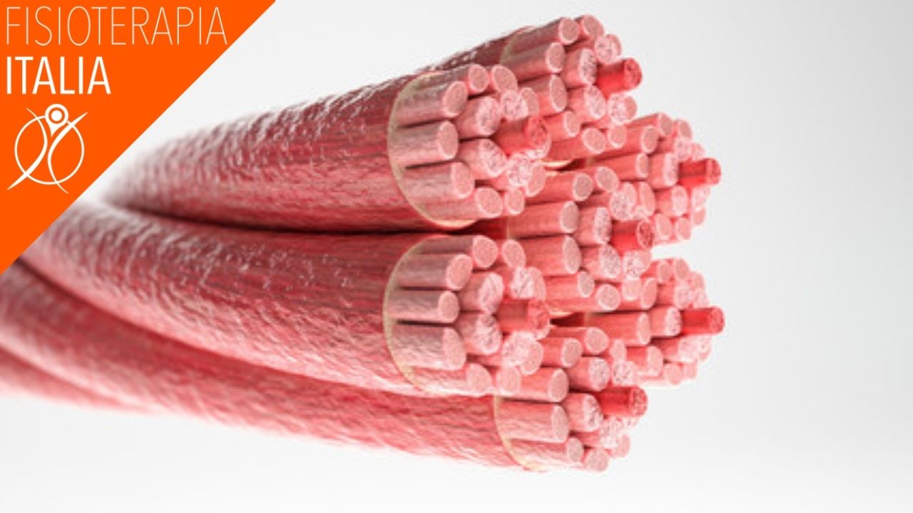 cause degli strappi muscolari