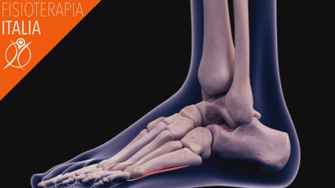 Dolore Alla Caviglia Cosa Fare Appena Si Presenta