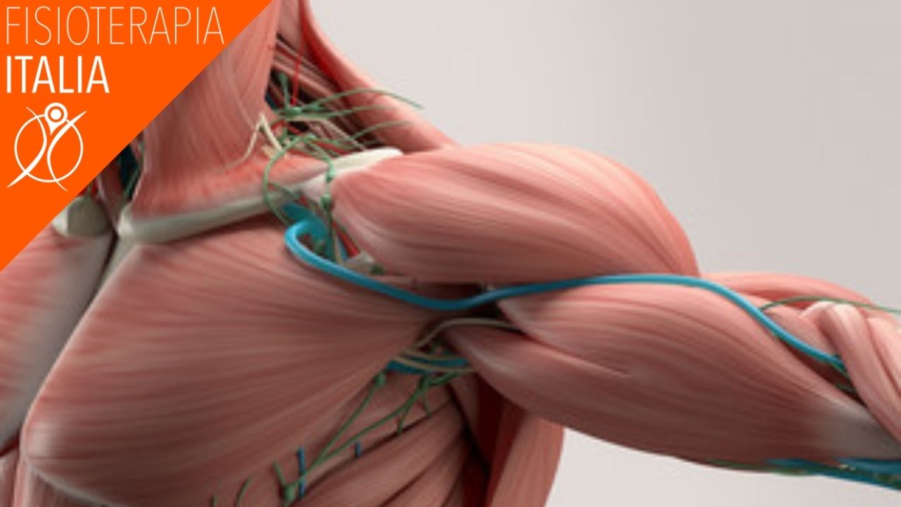 classificare gli strappi muscolari