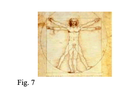 fig7