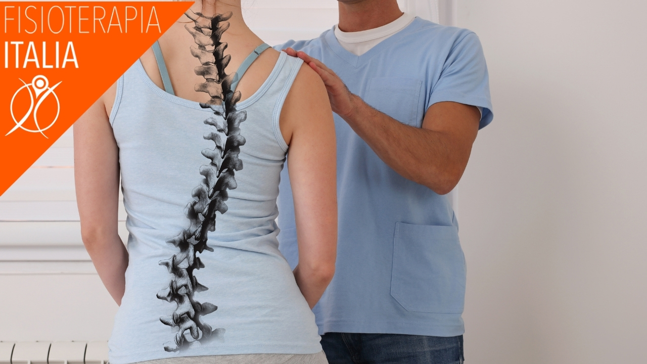 il sistema gnatologico