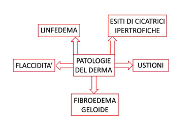 le patologie del derma