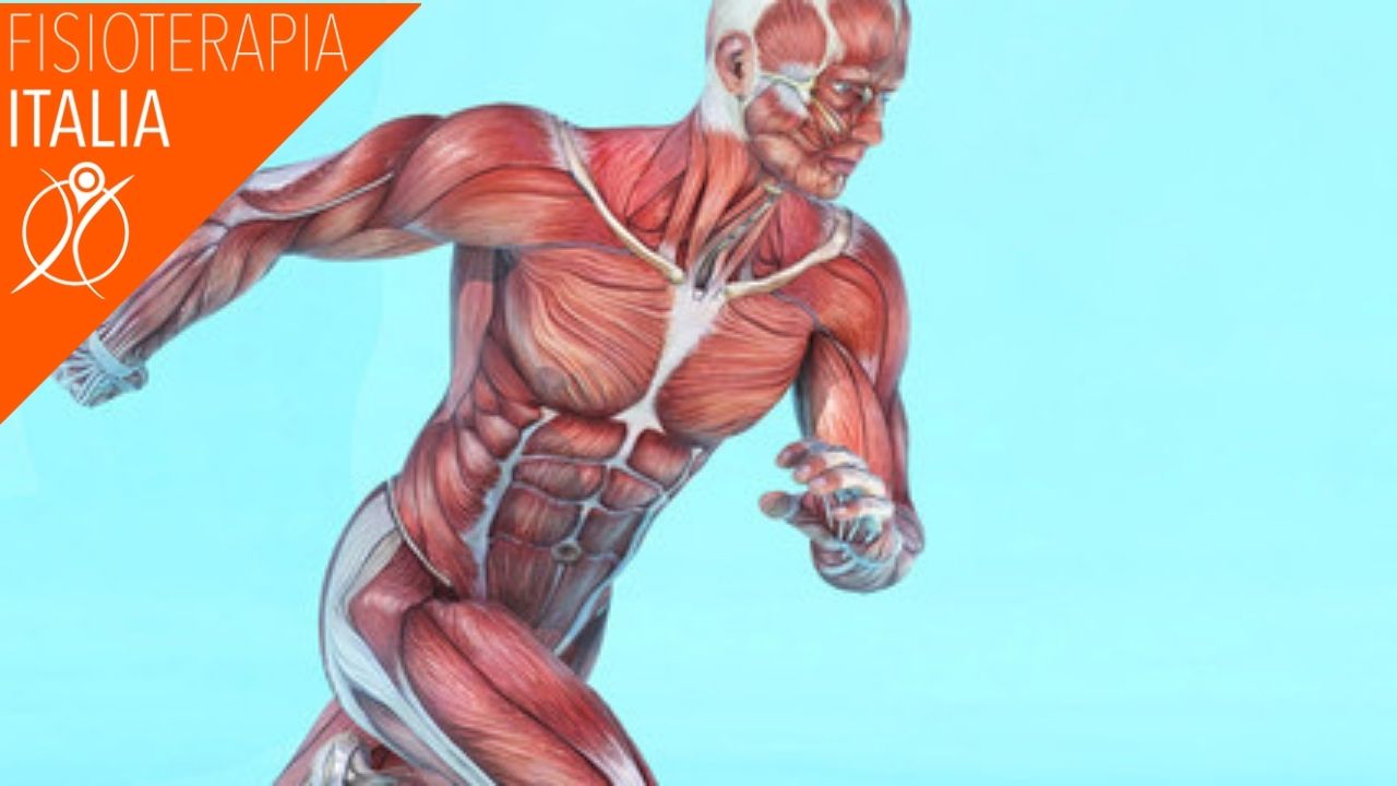 sintomi strappi muscolari
