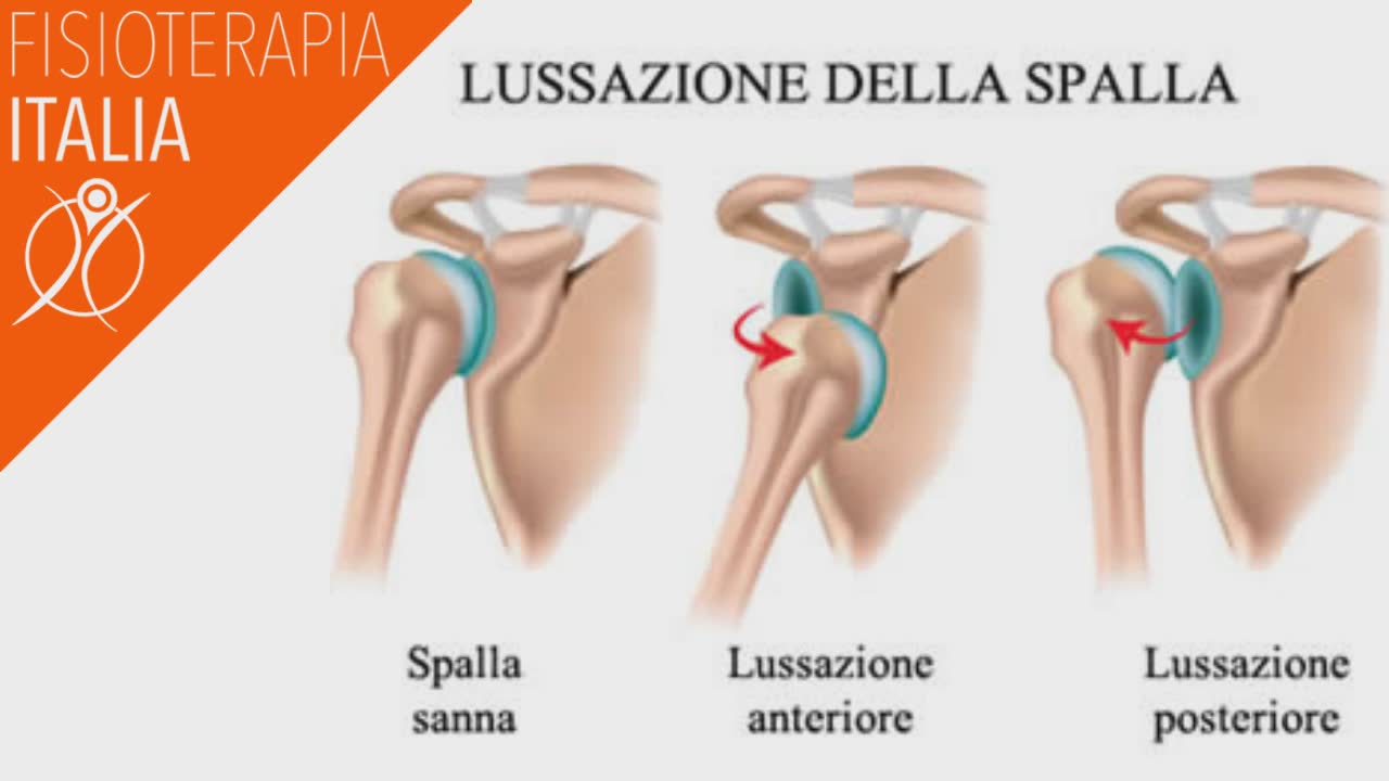articolazione spalla