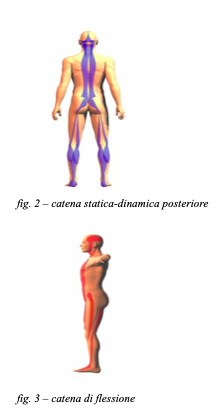 catena laterale e posteriore