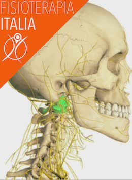 cervicale cosa sapere