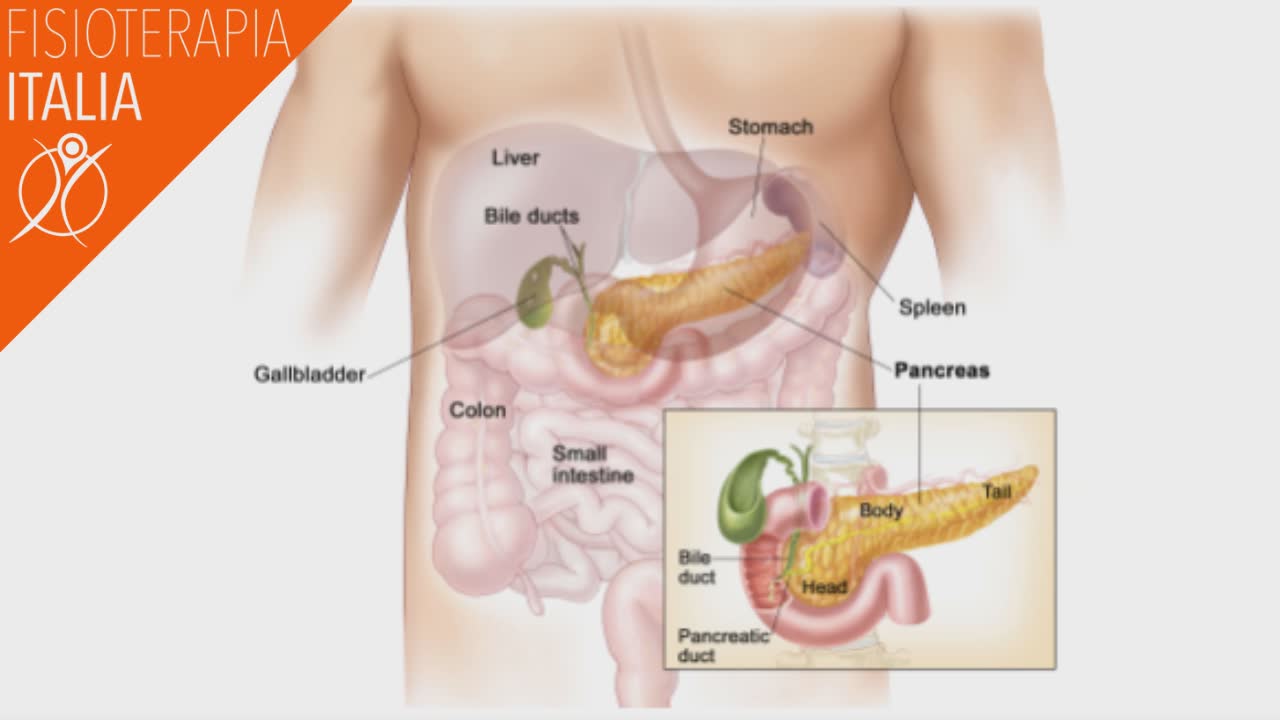 dolore al fianco sinistro intestino irritabile