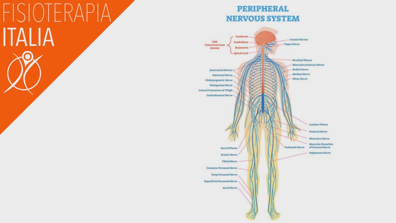 dolore cronico neuropatico periferico