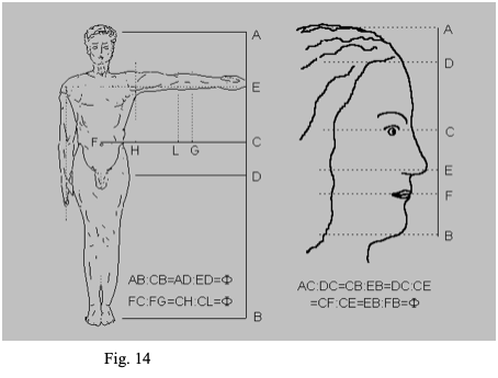 fig 14