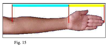 fig 15