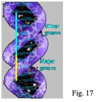 fig 17