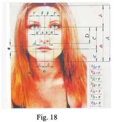 fig 18