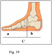 fig 19