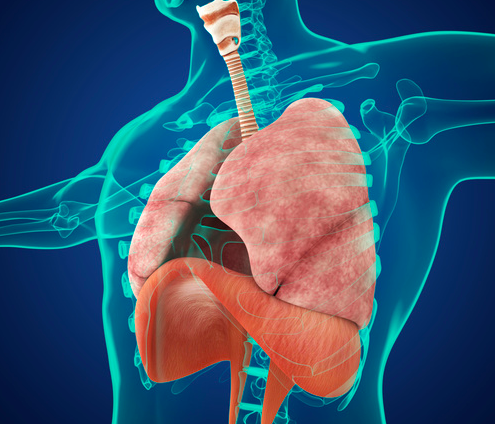 Mal Di Schiena Quando Respiro Cause E Rimedi Mal Di Schiena Quando Respiro Cause E Rimedi