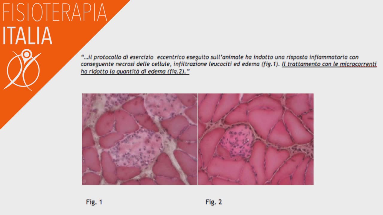 microcorrenti cosa accade nelle cellule