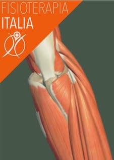 muscoli del gomito
