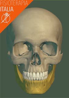 ossa cranio mandibola