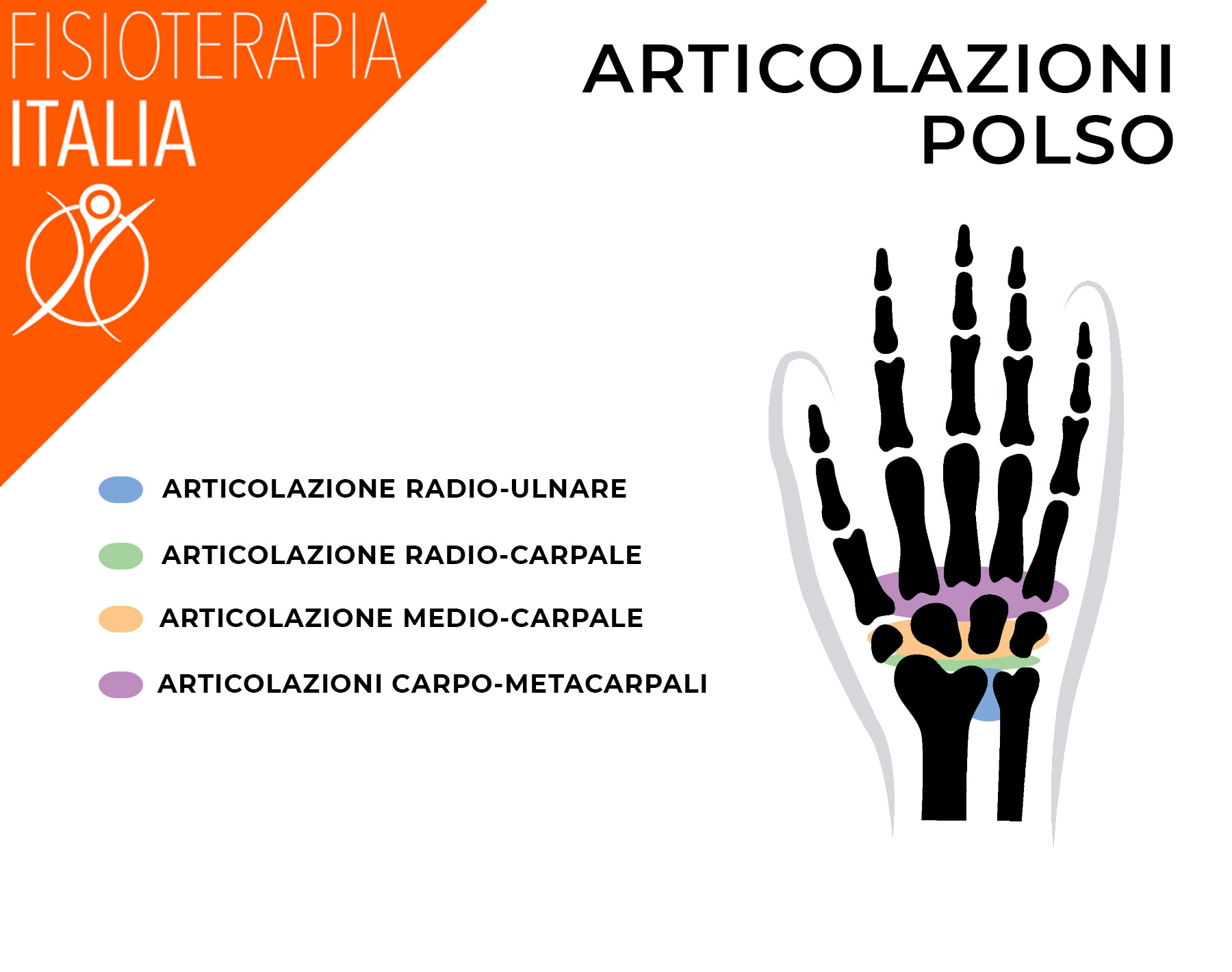 polso articolazione