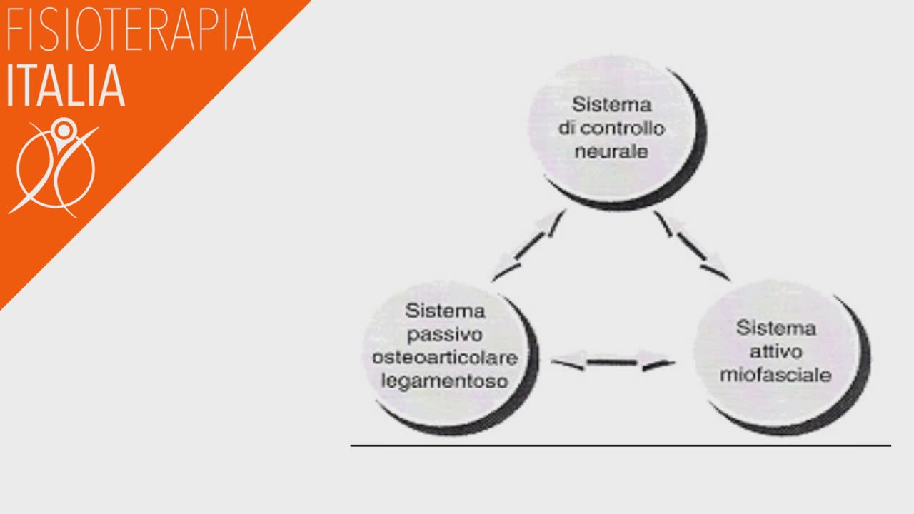 riabilitazione propriocettiva schema di panjabi