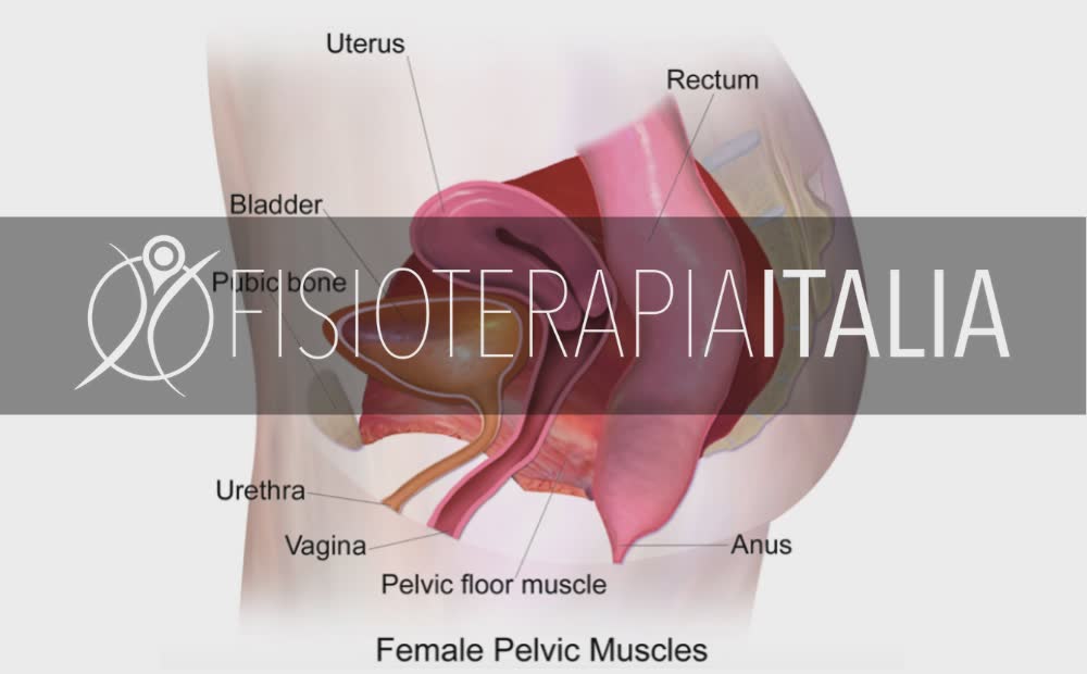 Riabilitazione pavimento pelvico
