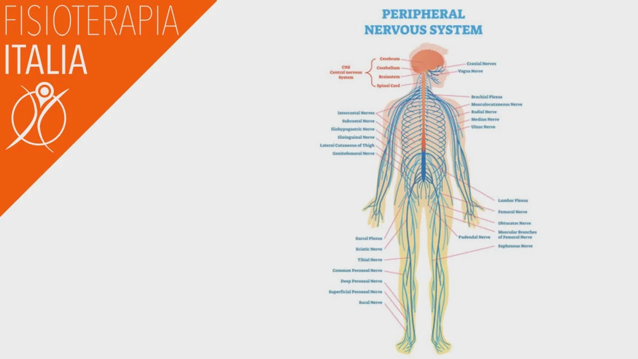 dolore cronico neuropatico periferico